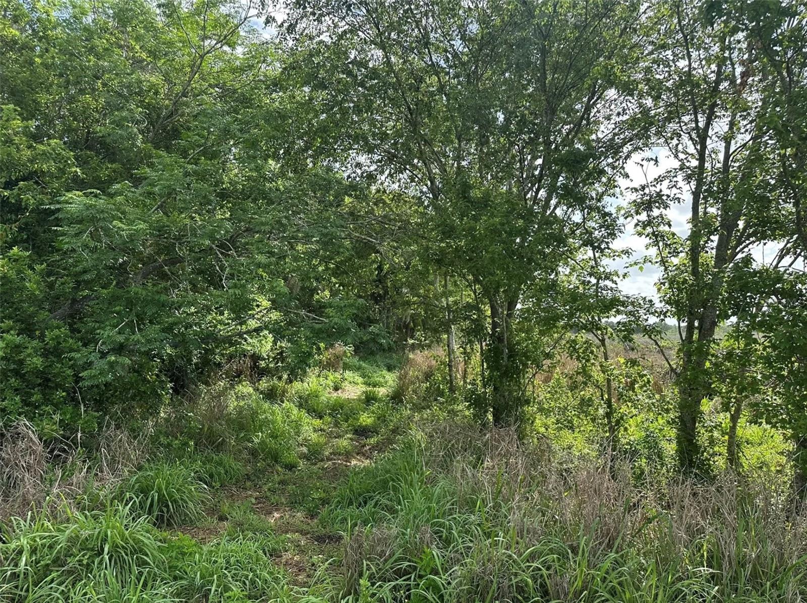 HOWARD AVE, OVIEDO, FL, 32765