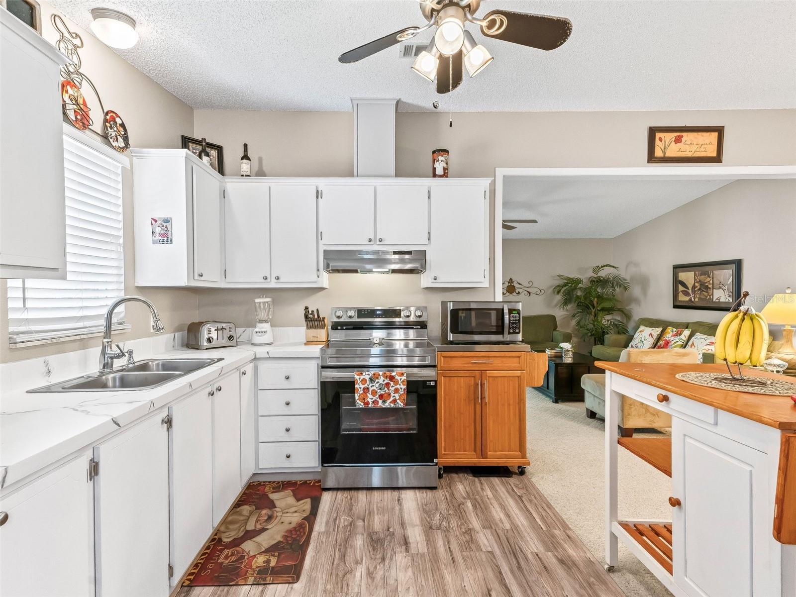 1809 DAFFODIL LN, THE VILLAGES, FL, 32159