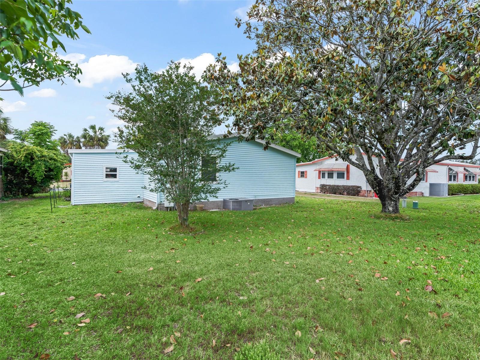 1809 DAFFODIL LN, THE VILLAGES, FL, 32159