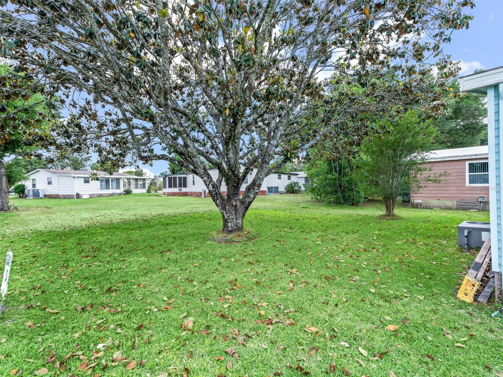 1809 DAFFODIL LN, THE VILLAGES, FL, 32159