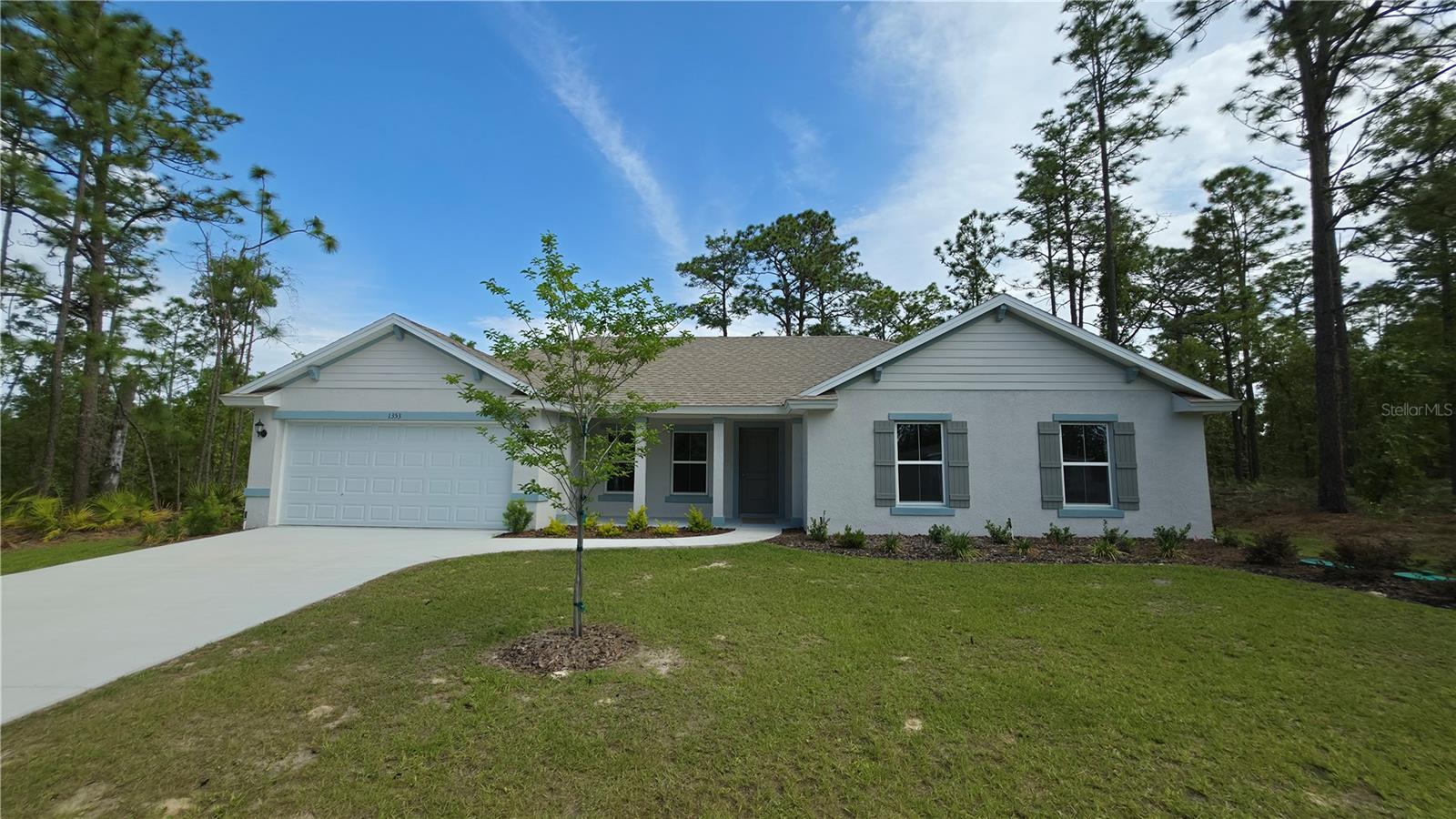 1353 W CARY DR, CITRUS SPRINGS, FL, 34434