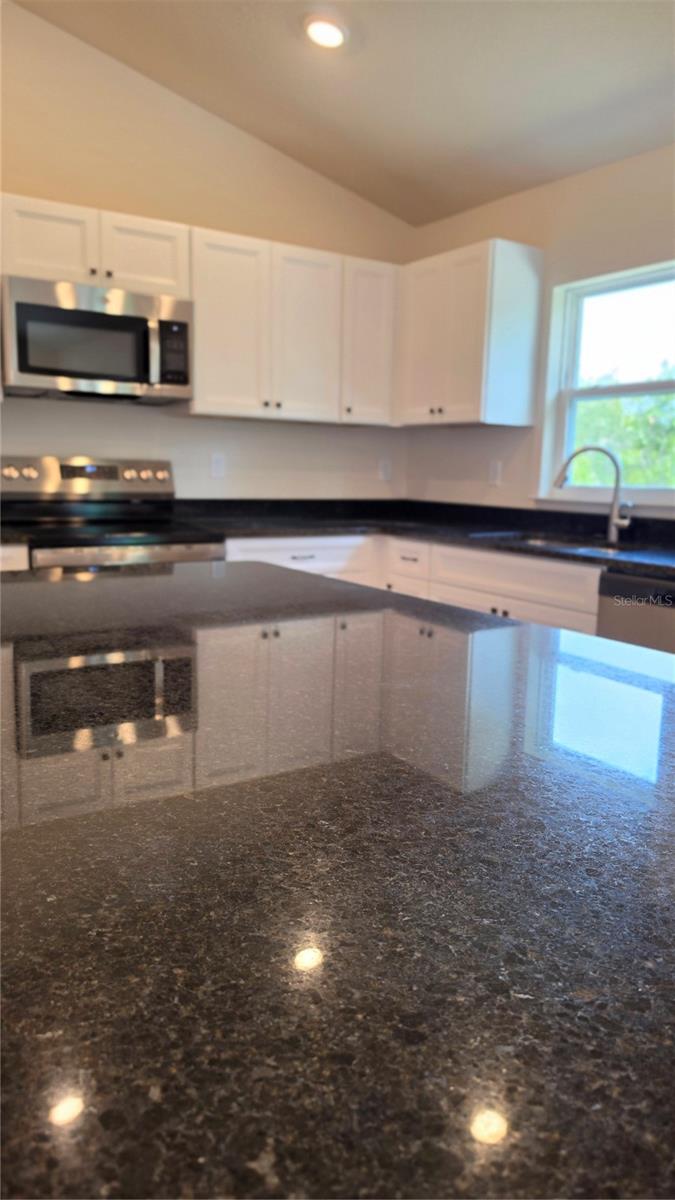 1353 W CARY DR, CITRUS SPRINGS, FL, 34434