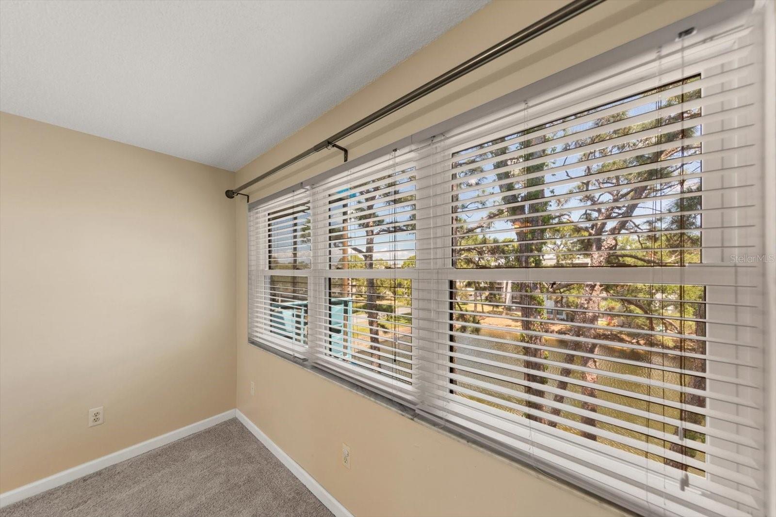 5970 80TH ST N #411, ST PETERSBURG, FL, 33709