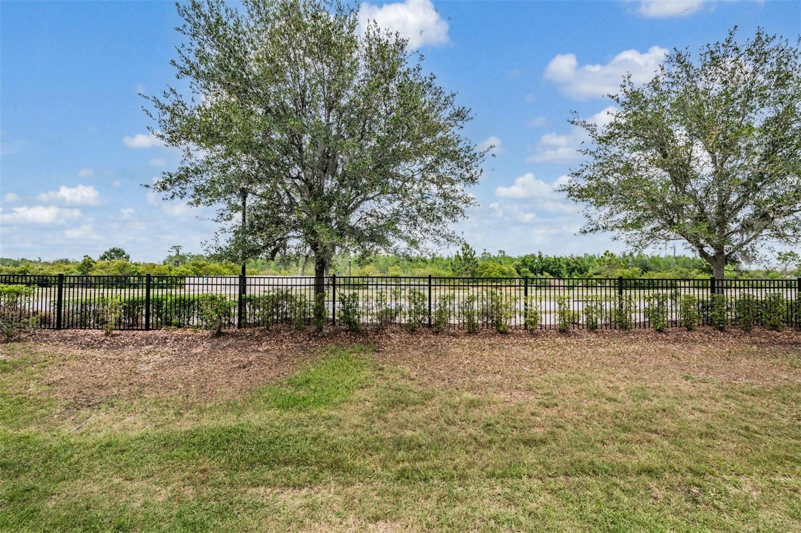 29947 SOUTHWELL LN, WESLEY CHAPEL, FL, 33543