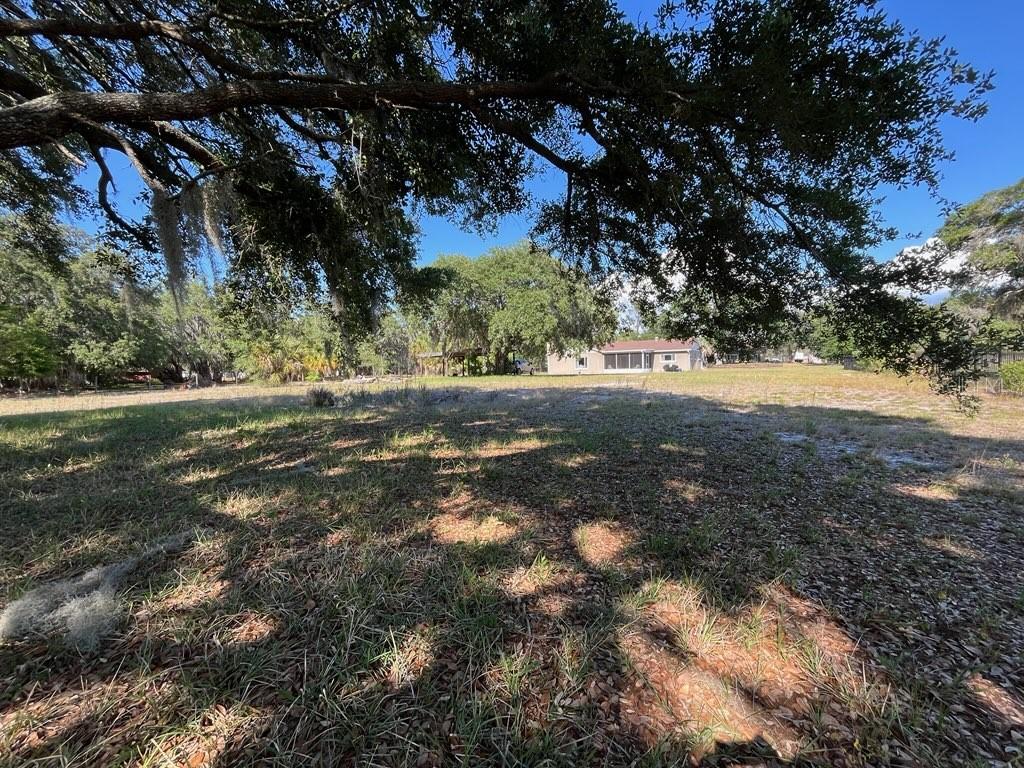 11515 GROVEWOOD BLVD, LAND O LAKES, FL, 34638