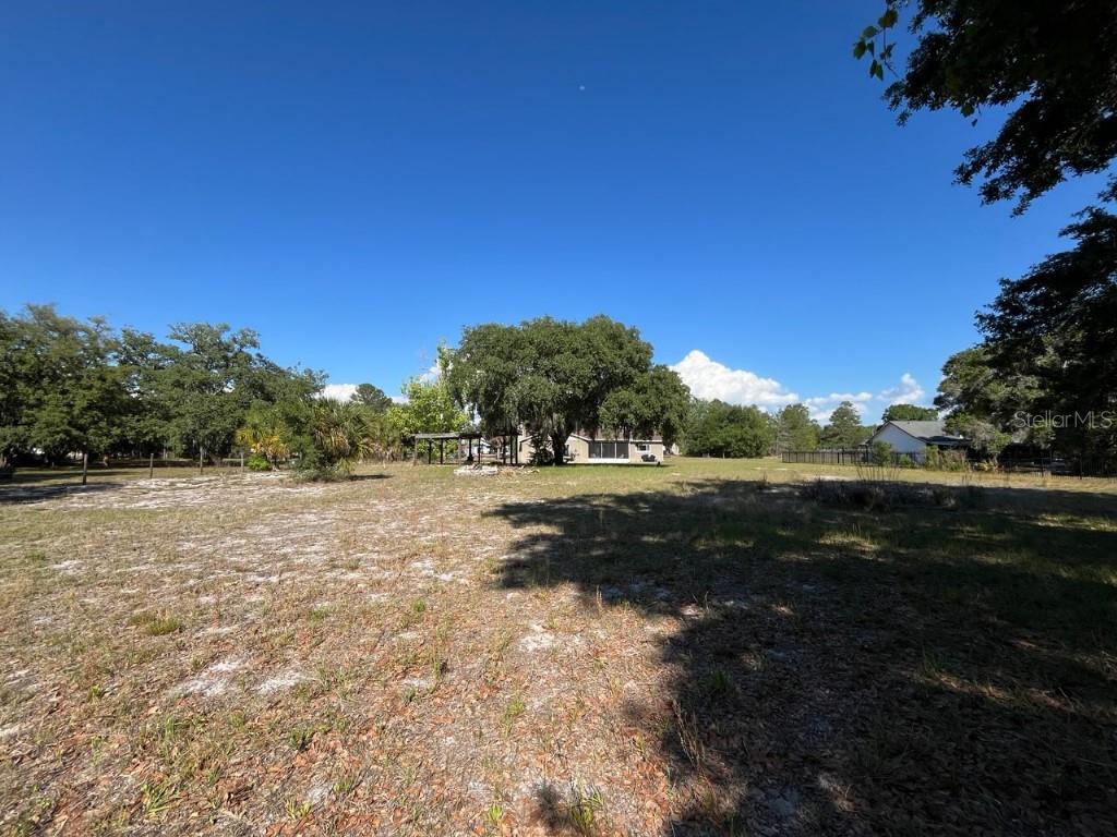 11515 GROVEWOOD BLVD, LAND O LAKES, FL, 34638