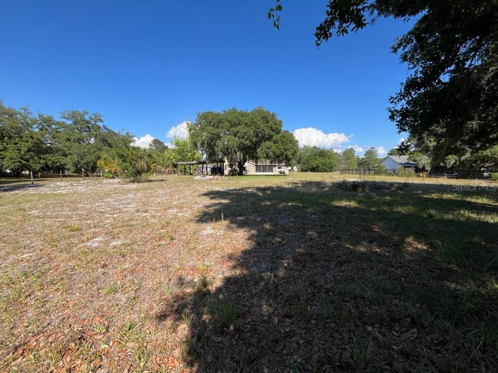 11515 GROVEWOOD BLVD, LAND O LAKES, FL, 34638