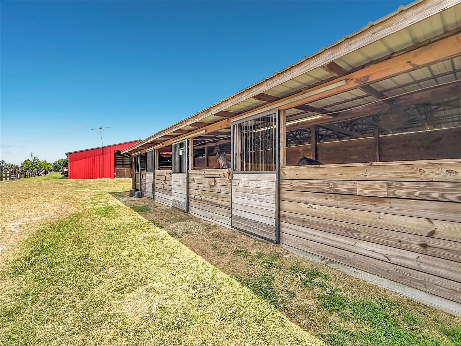 16750 SE 19TH CT, SUMMERFIELD, FL, 34491