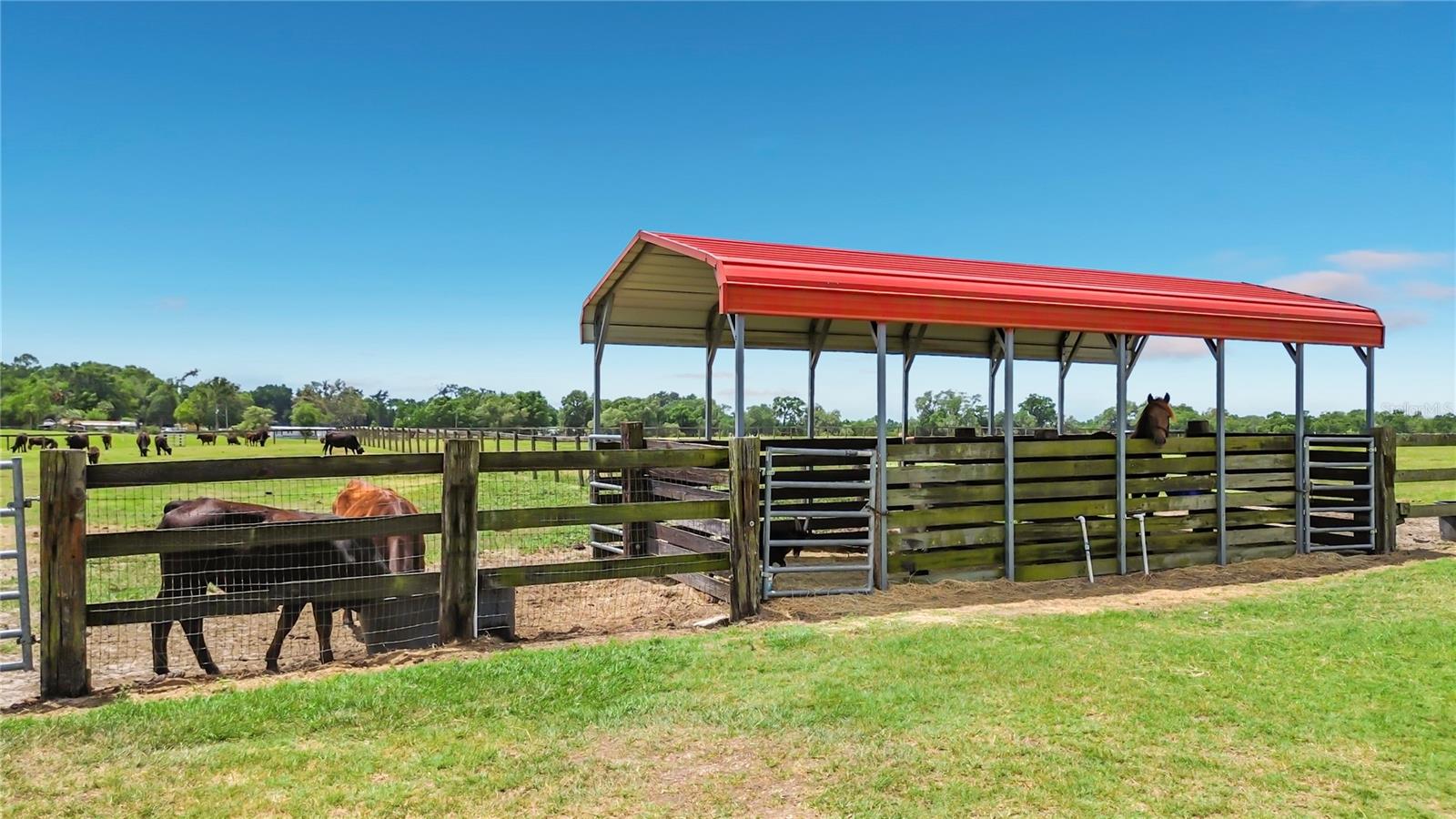 16750 SE 19TH CT, SUMMERFIELD, FL, 34491