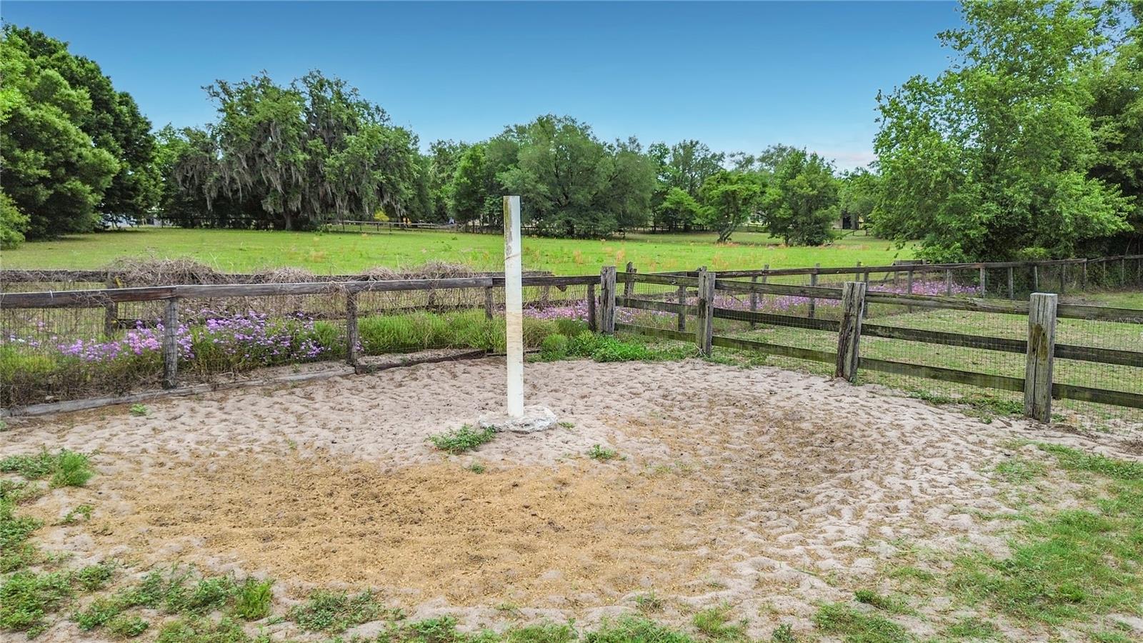 16750 SE 19TH CT, SUMMERFIELD, FL, 34491