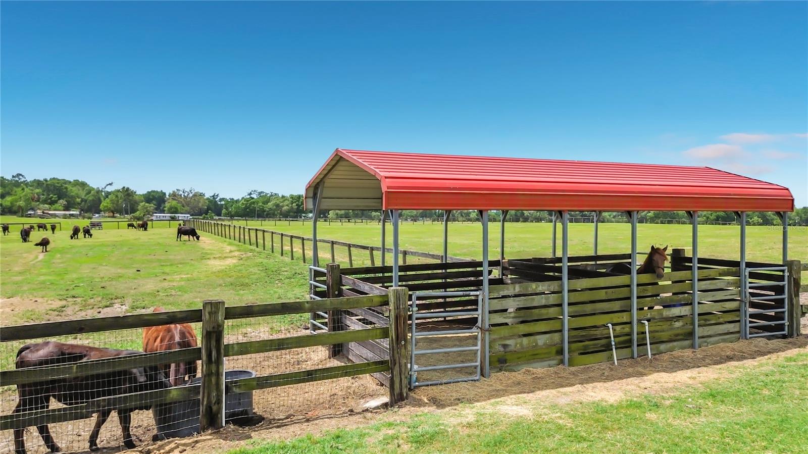 16750 SE 19TH CT, SUMMERFIELD, FL, 34491