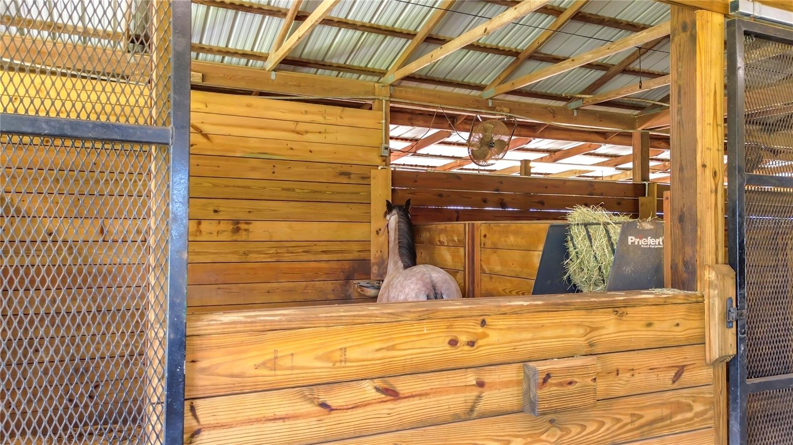 16750 SE 19TH CT, SUMMERFIELD, FL, 34491