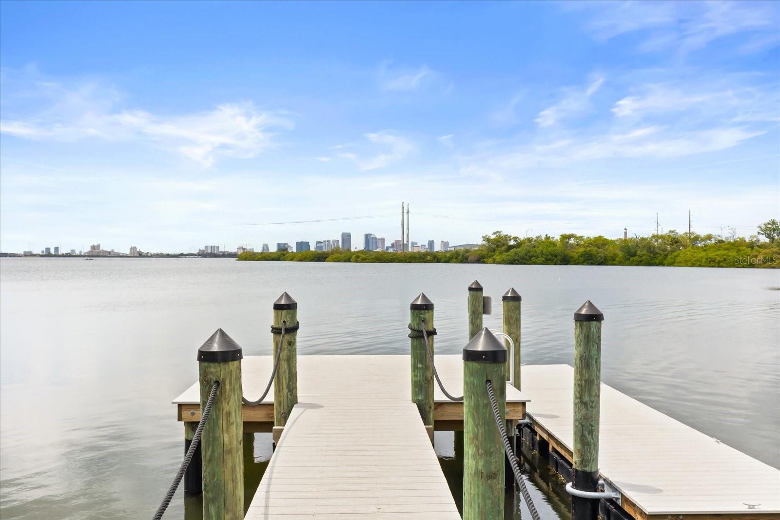 4405 TUSCAN LOON DR, TAMPA, FL, 33619