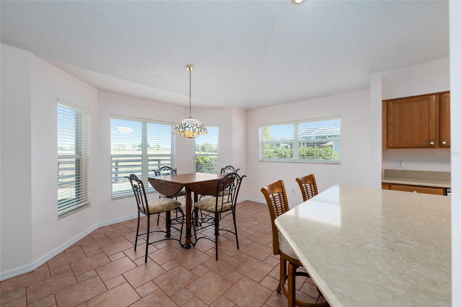 1709 MADERO DR, LADY LAKE, FL, 32159