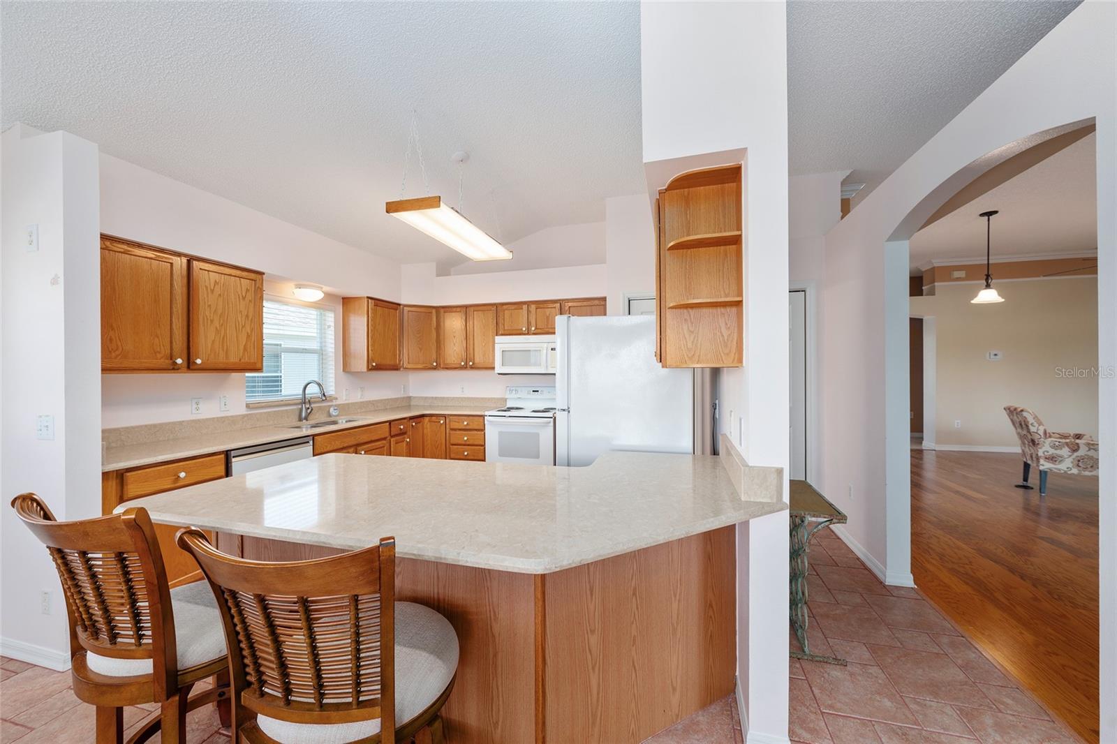 1709 MADERO DR, LADY LAKE, FL, 32159