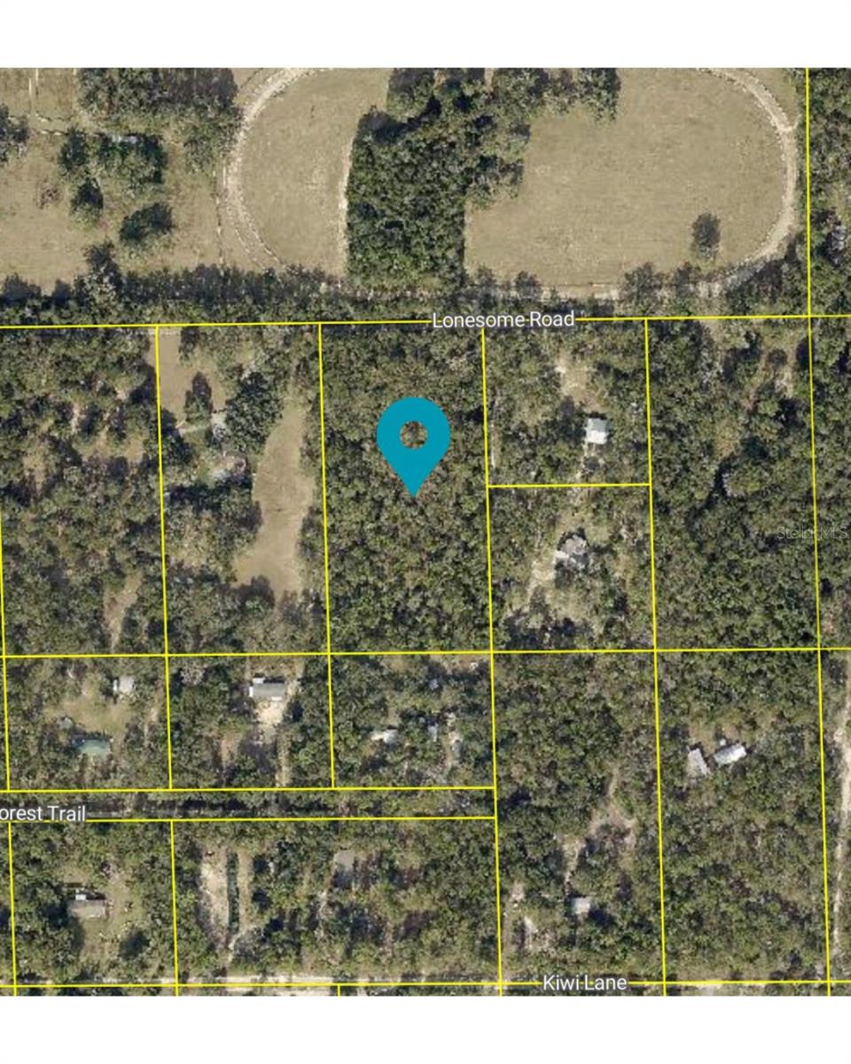 LONESOME RD, BROOKSVILLE, FL, 34601