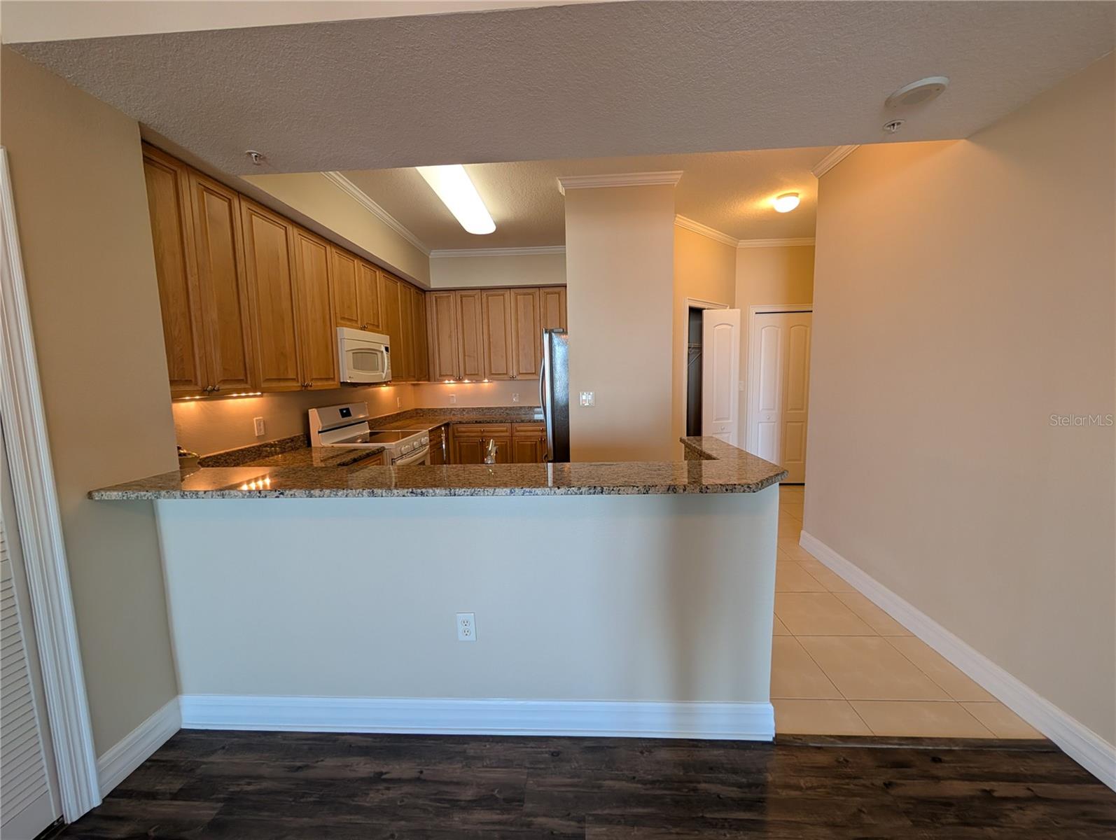 4516 SEAGULL DR #919, NEW PORT RICHEY, FL, 34652