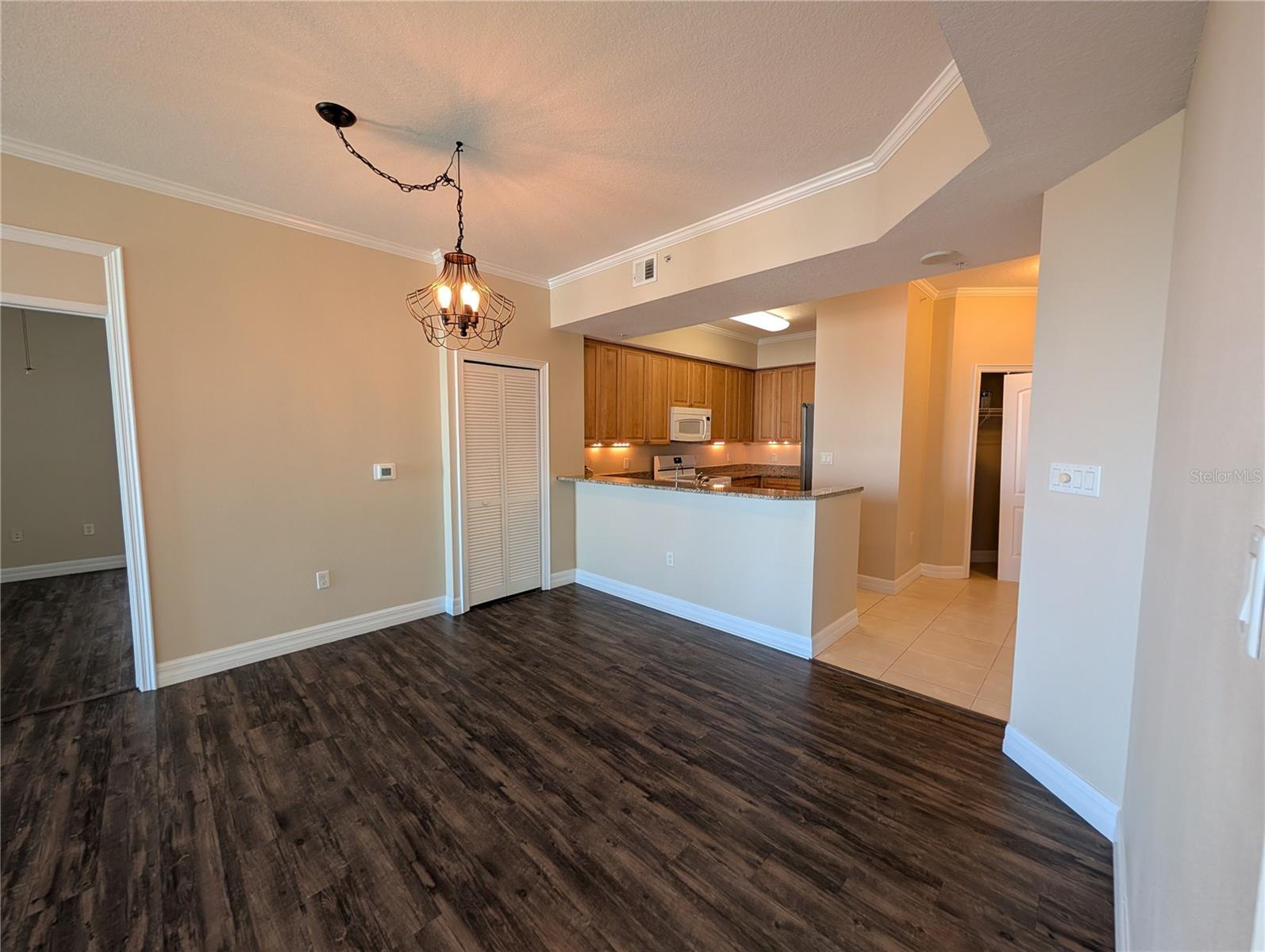 4516 SEAGULL DR #919, NEW PORT RICHEY, FL, 34652