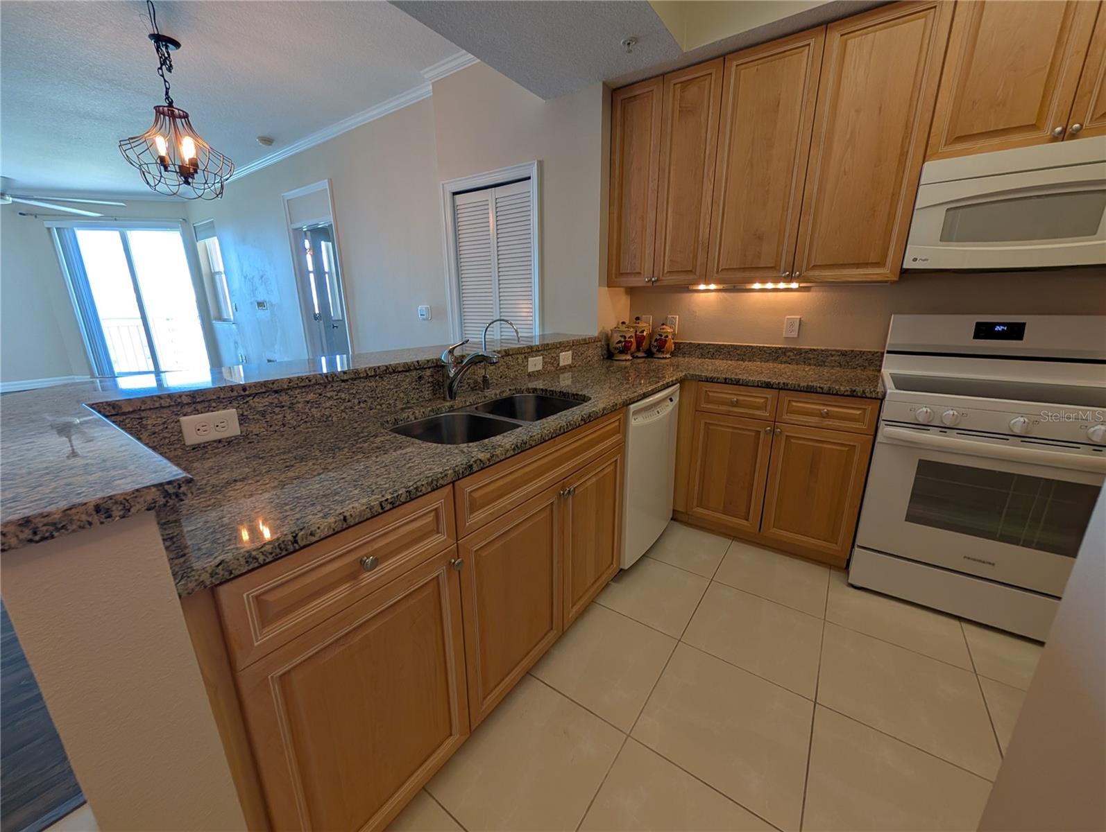 4516 SEAGULL DR #919, NEW PORT RICHEY, FL, 34652