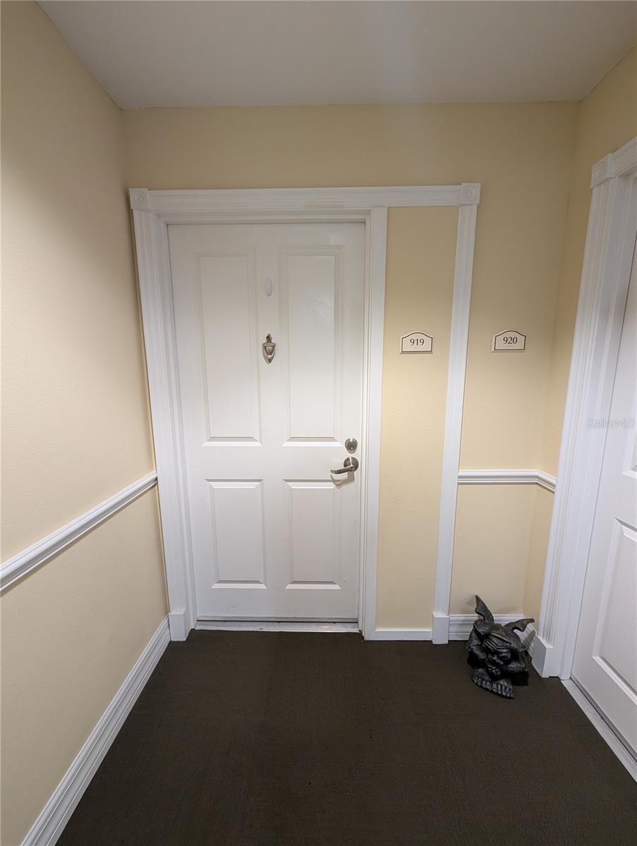 4516 SEAGULL DR #919, NEW PORT RICHEY, FL, 34652