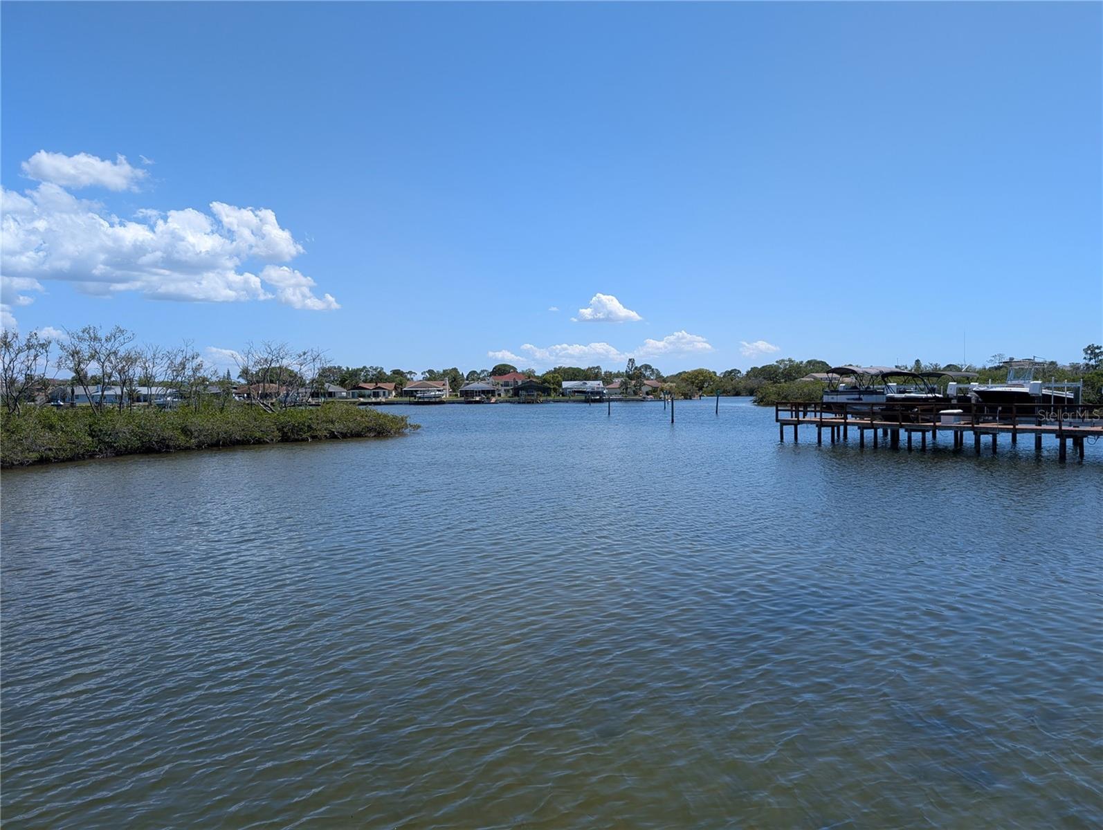 4516 SEAGULL DR #919, NEW PORT RICHEY, FL, 34652