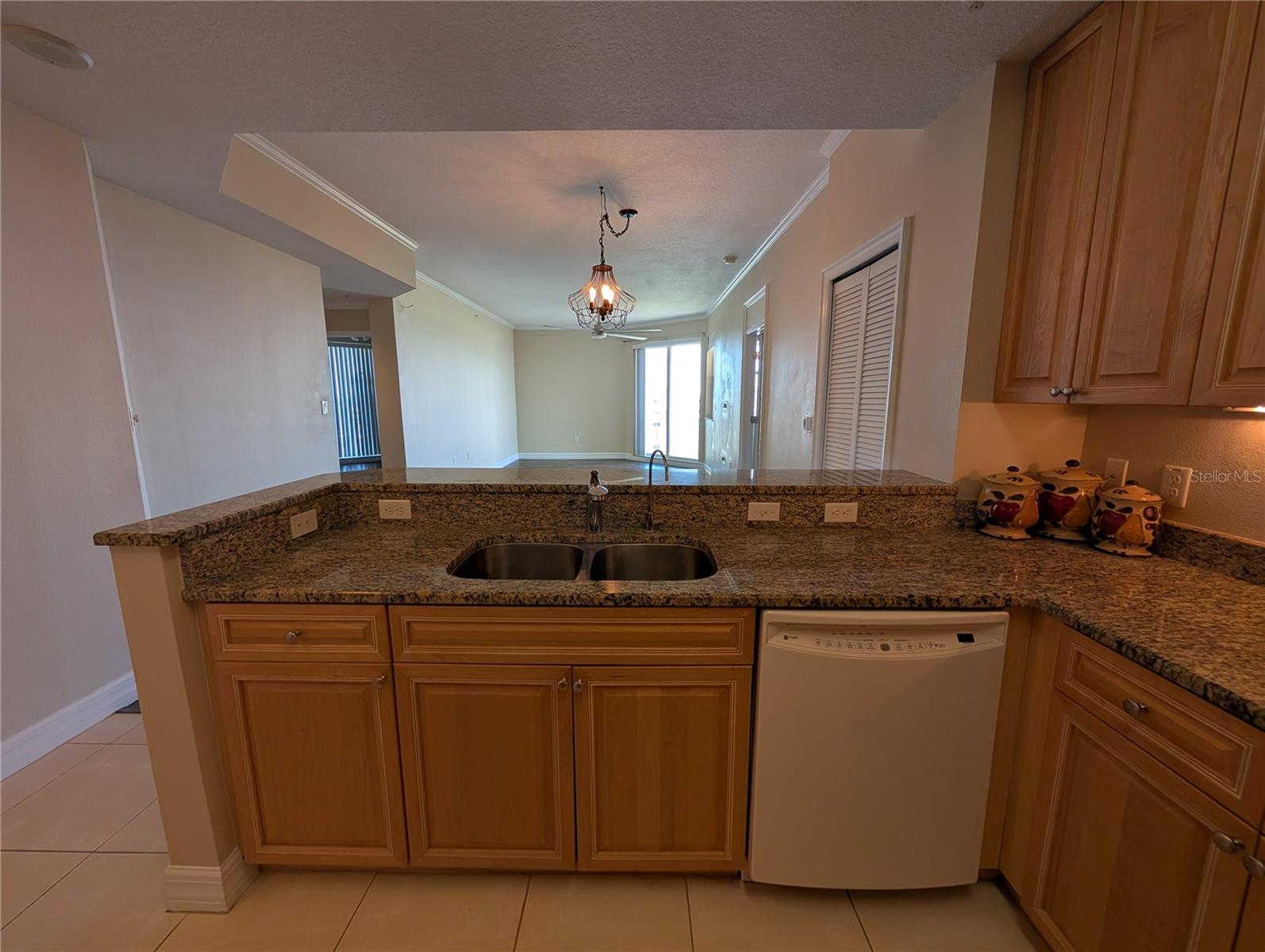 4516 SEAGULL DR #919, NEW PORT RICHEY, FL, 34652