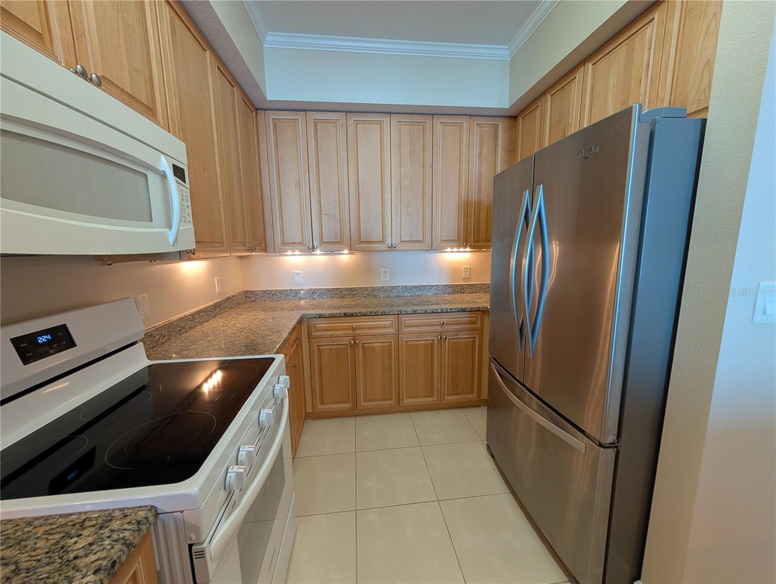 4516 SEAGULL DR #919, NEW PORT RICHEY, FL, 34652