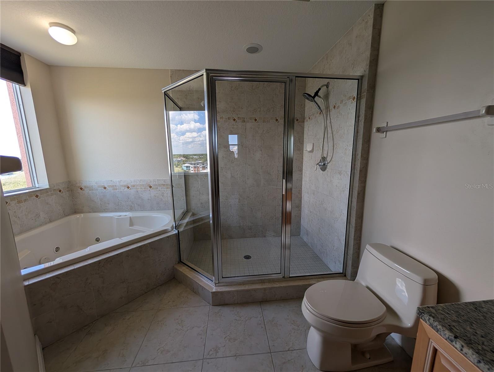 4516 SEAGULL DR #919, NEW PORT RICHEY, FL, 34652