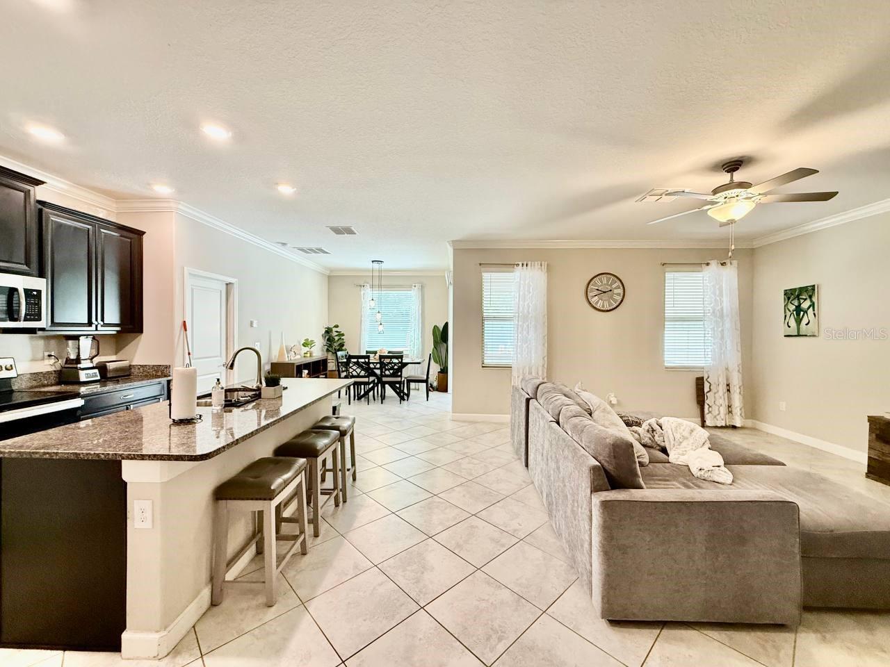 10143 COUNT FLEET DR, RUSKIN, FL, 33573