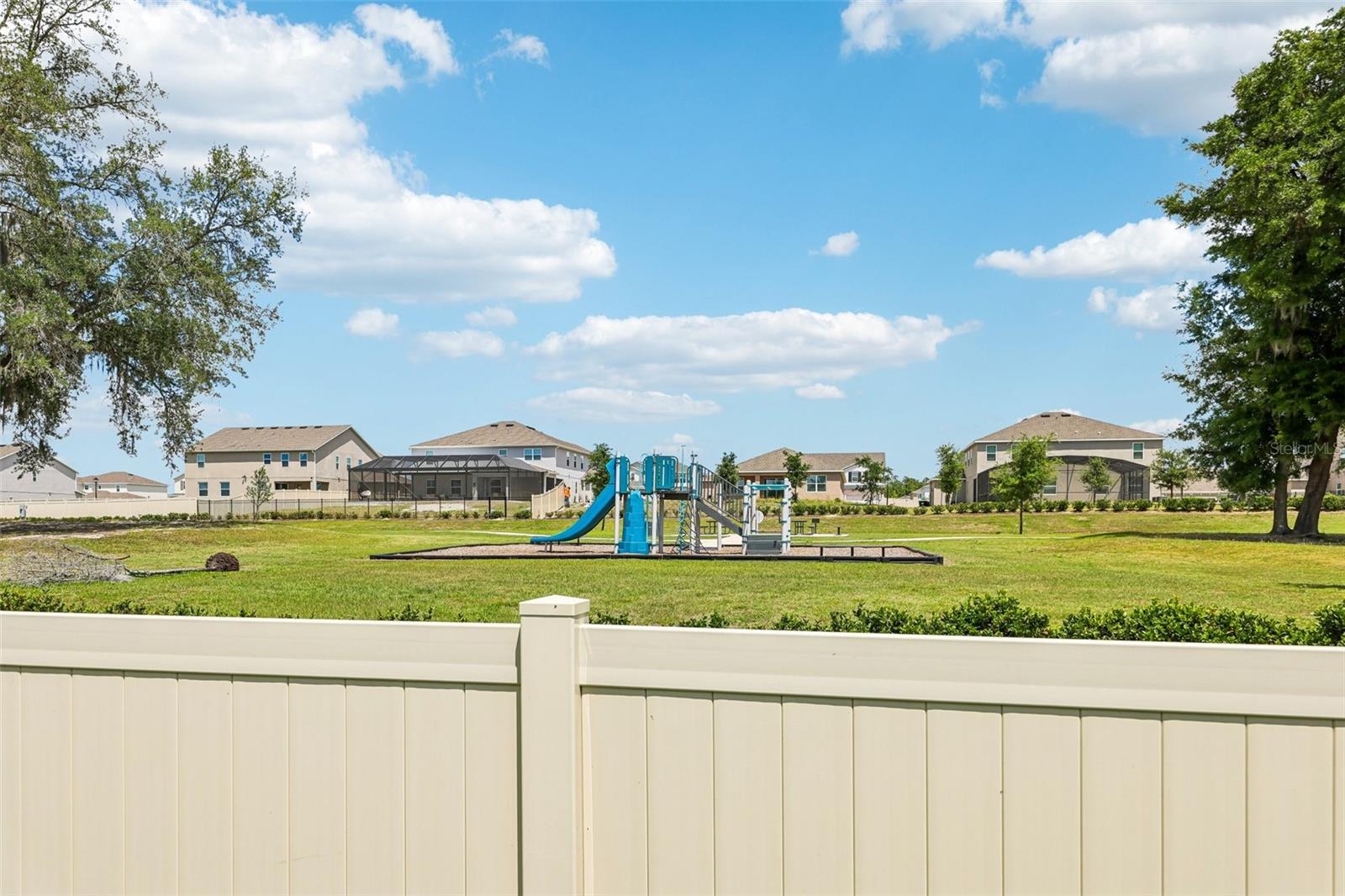 6100 SIERRA CROWN ST, MOUNT DORA, FL, 32757