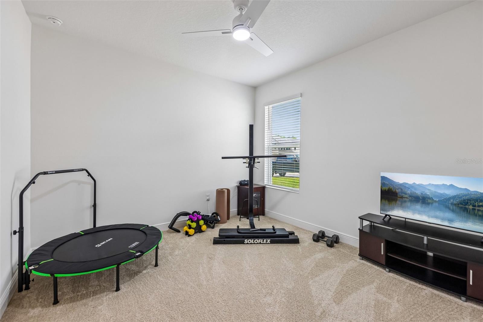 6100 SIERRA CROWN ST, MOUNT DORA, FL, 32757