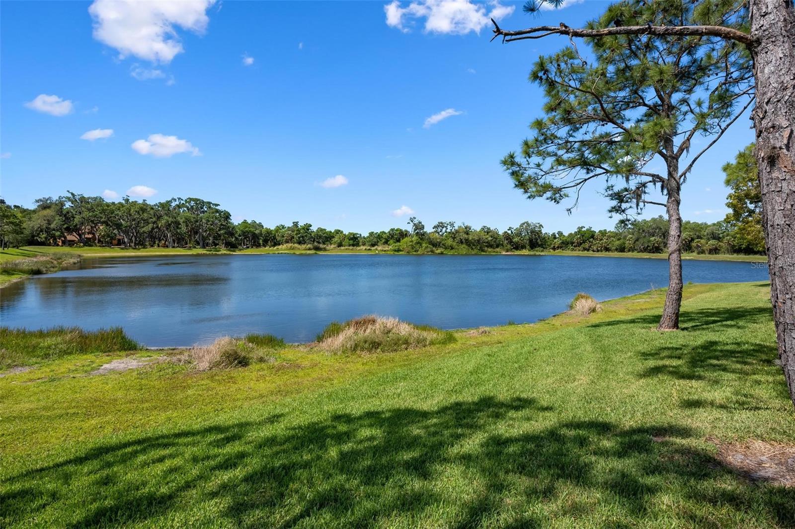 3110 78TH AVE E, SARASOTA, FL, 34243