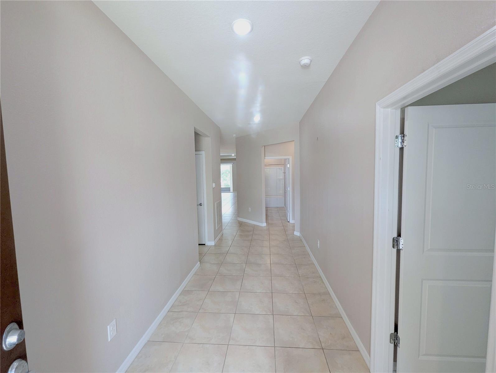 18810 BIRCHWOOD GROVES DR, LUTZ, FL, 33558