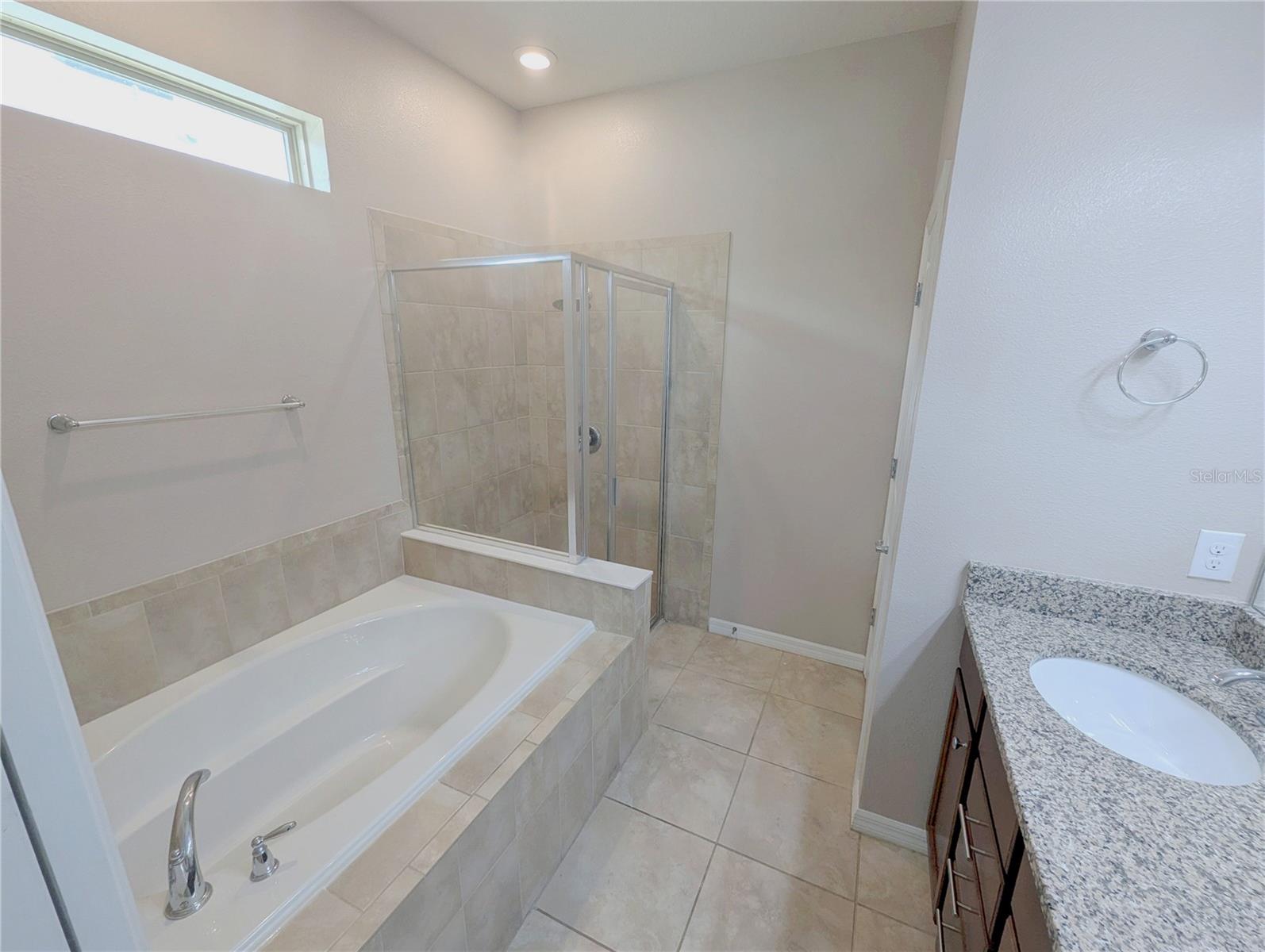 18810 BIRCHWOOD GROVES DR, LUTZ, FL, 33558