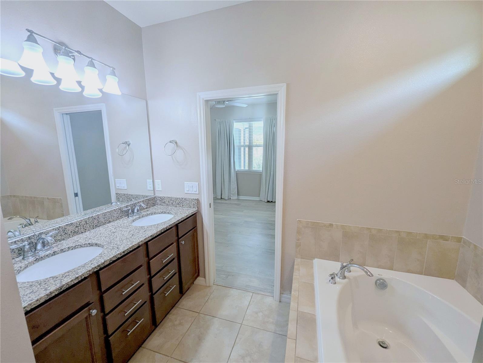 18810 BIRCHWOOD GROVES DR, LUTZ, FL, 33558