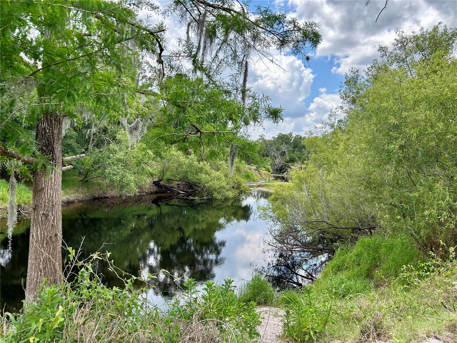 BRONCO DR, ZOLFO SPRINGS, FL, 33890