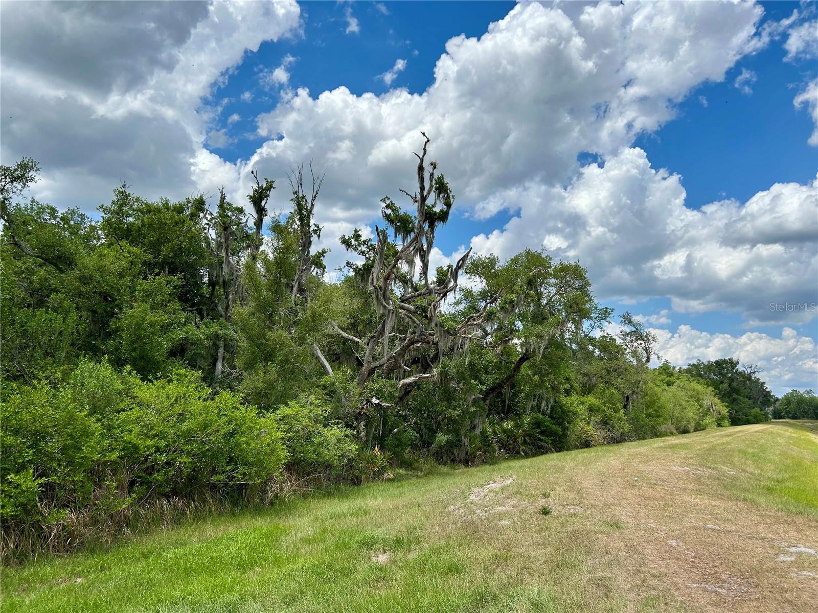 BRONCO DR, ZOLFO SPRINGS, FL, 33890