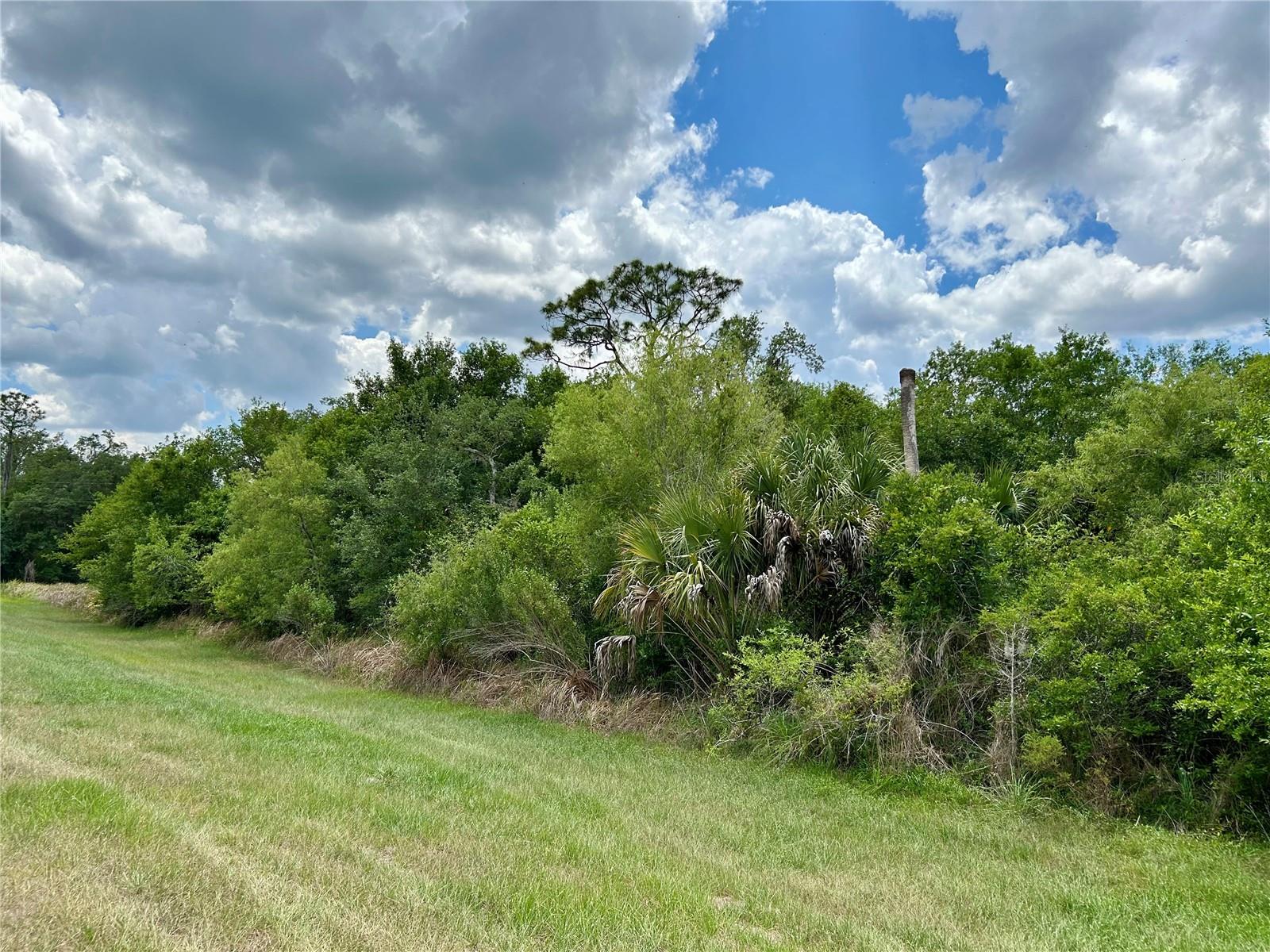 BRONCO DR, ZOLFO SPRINGS, FL, 33890