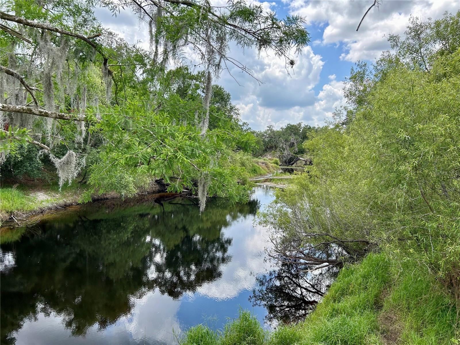 BRONCO DR, ZOLFO SPRINGS, FL, 33890