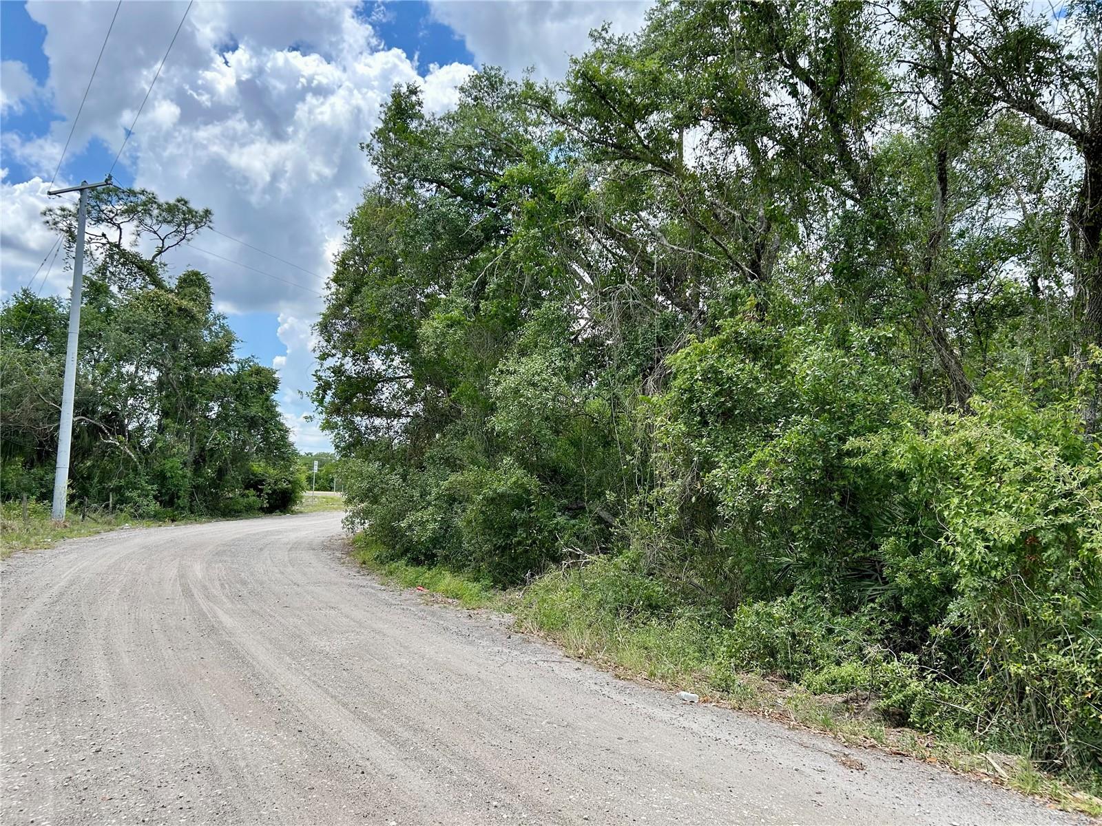 BRONCO DR, ZOLFO SPRINGS, FL, 33890