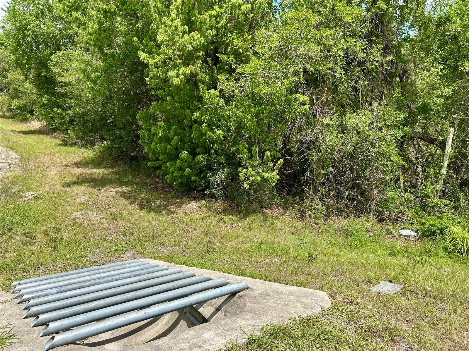 BRONCO DR, ZOLFO SPRINGS, FL, 33890