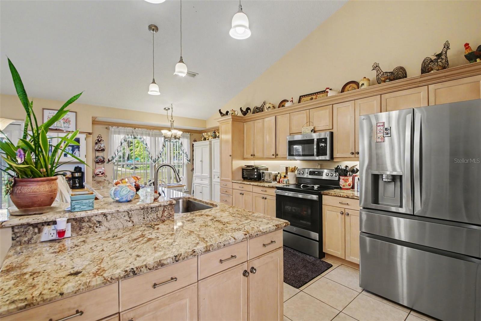 100 MATHER SMITH DR, OAKLAND, FL, 34760