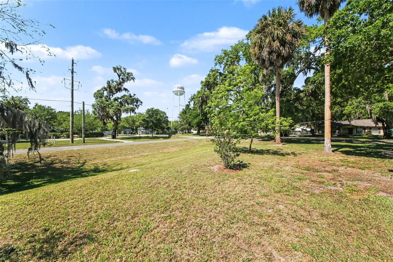 100 MATHER SMITH DR, OAKLAND, FL, 34760