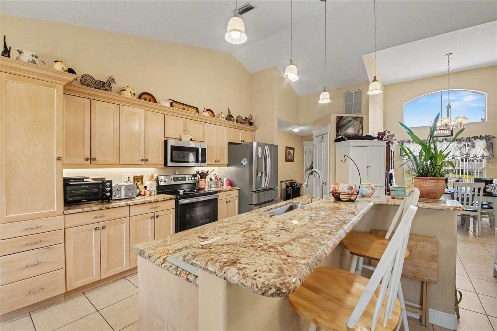 100 MATHER SMITH DR, OAKLAND, FL, 34760