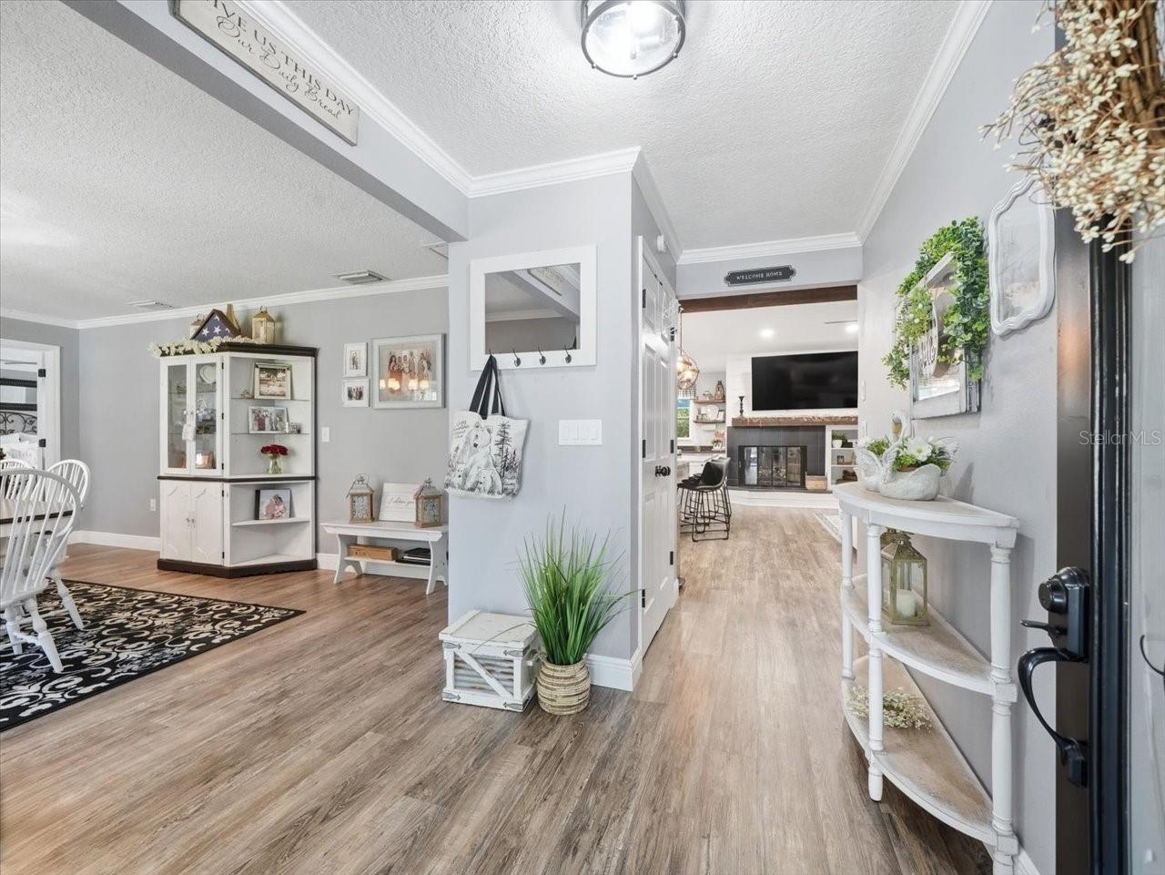 11503 TRUMBULL DR, SPRING HILL, FL, 34609