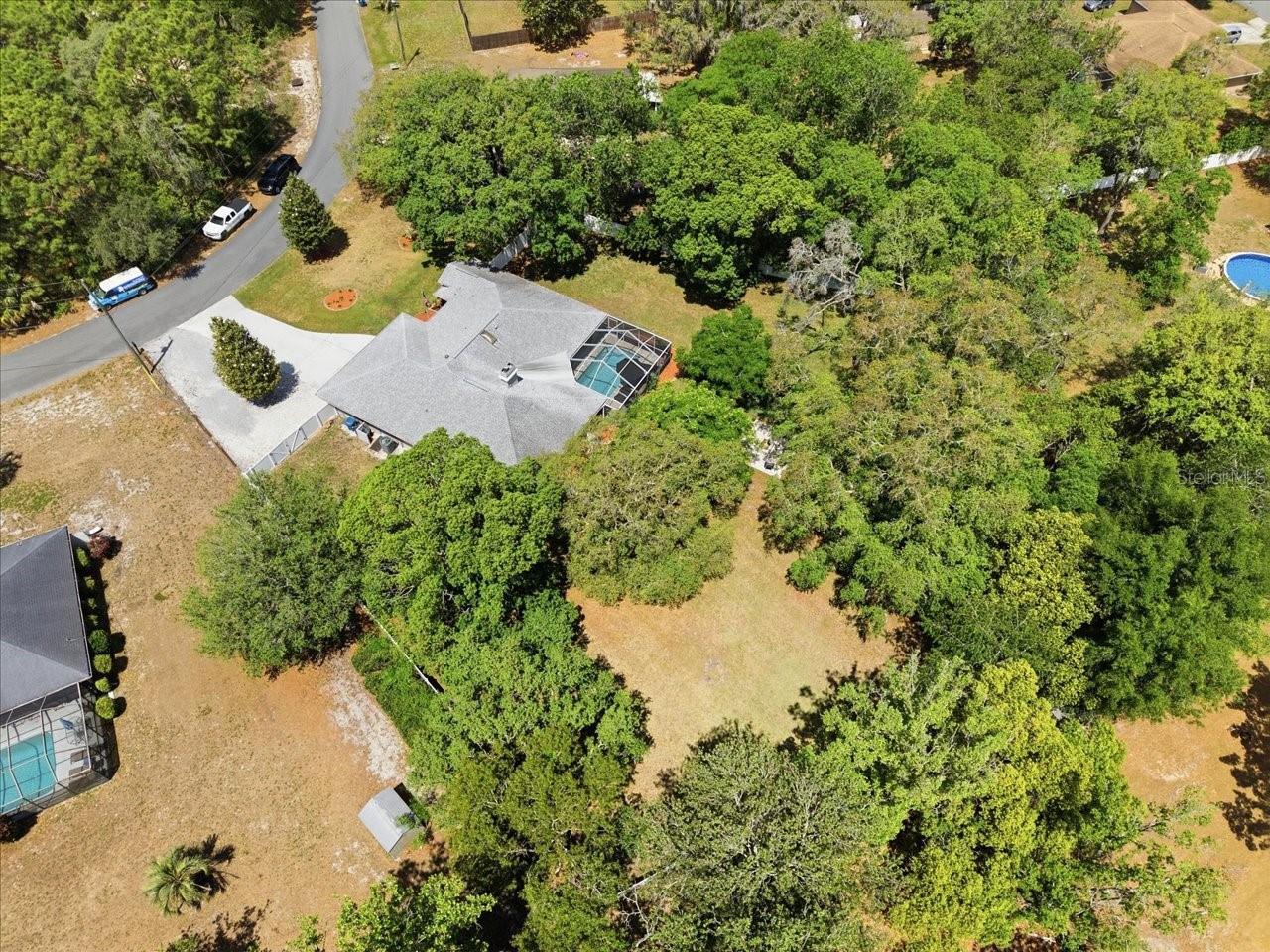 11503 TRUMBULL DR, SPRING HILL, FL, 34609