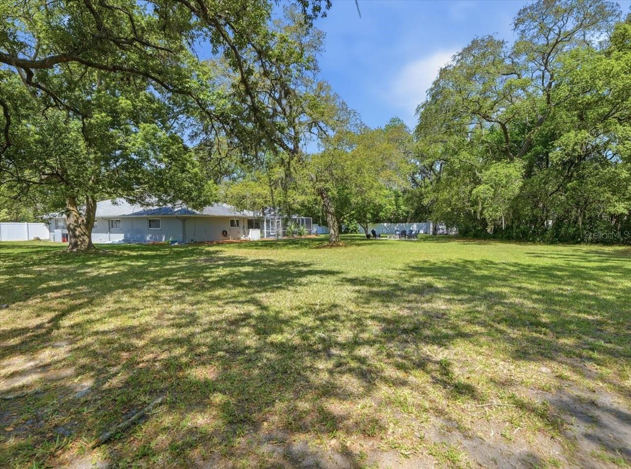 11503 TRUMBULL DR, SPRING HILL, FL, 34609