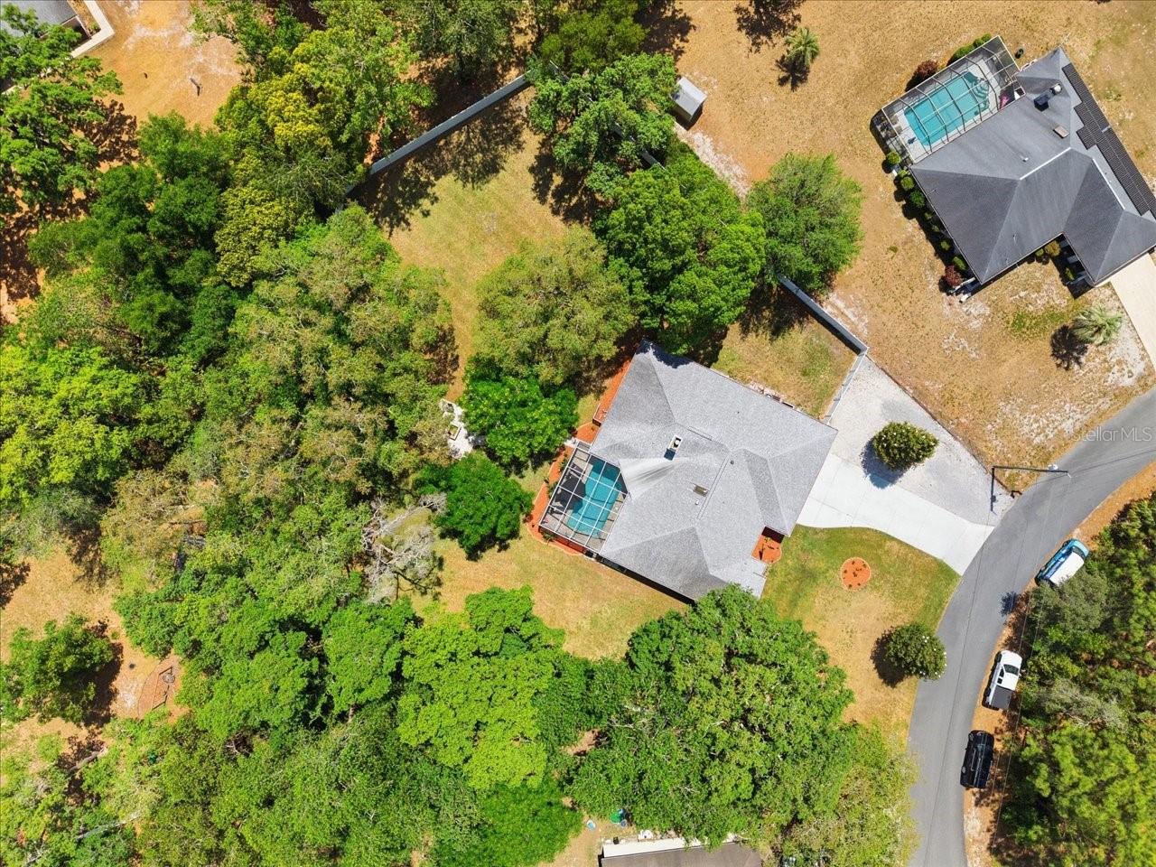 11503 TRUMBULL DR, SPRING HILL, FL, 34609