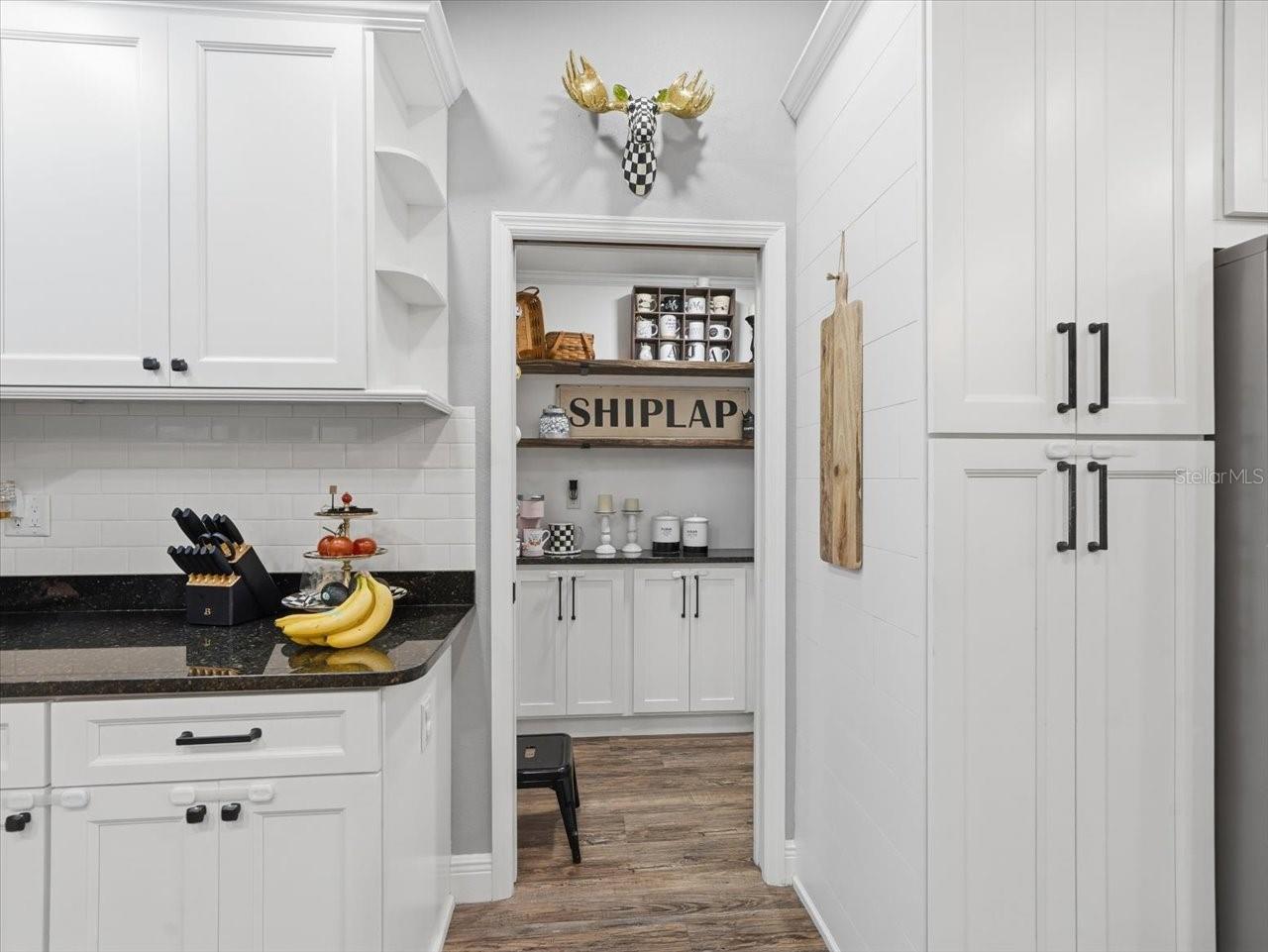 11503 TRUMBULL DR, SPRING HILL, FL, 34609