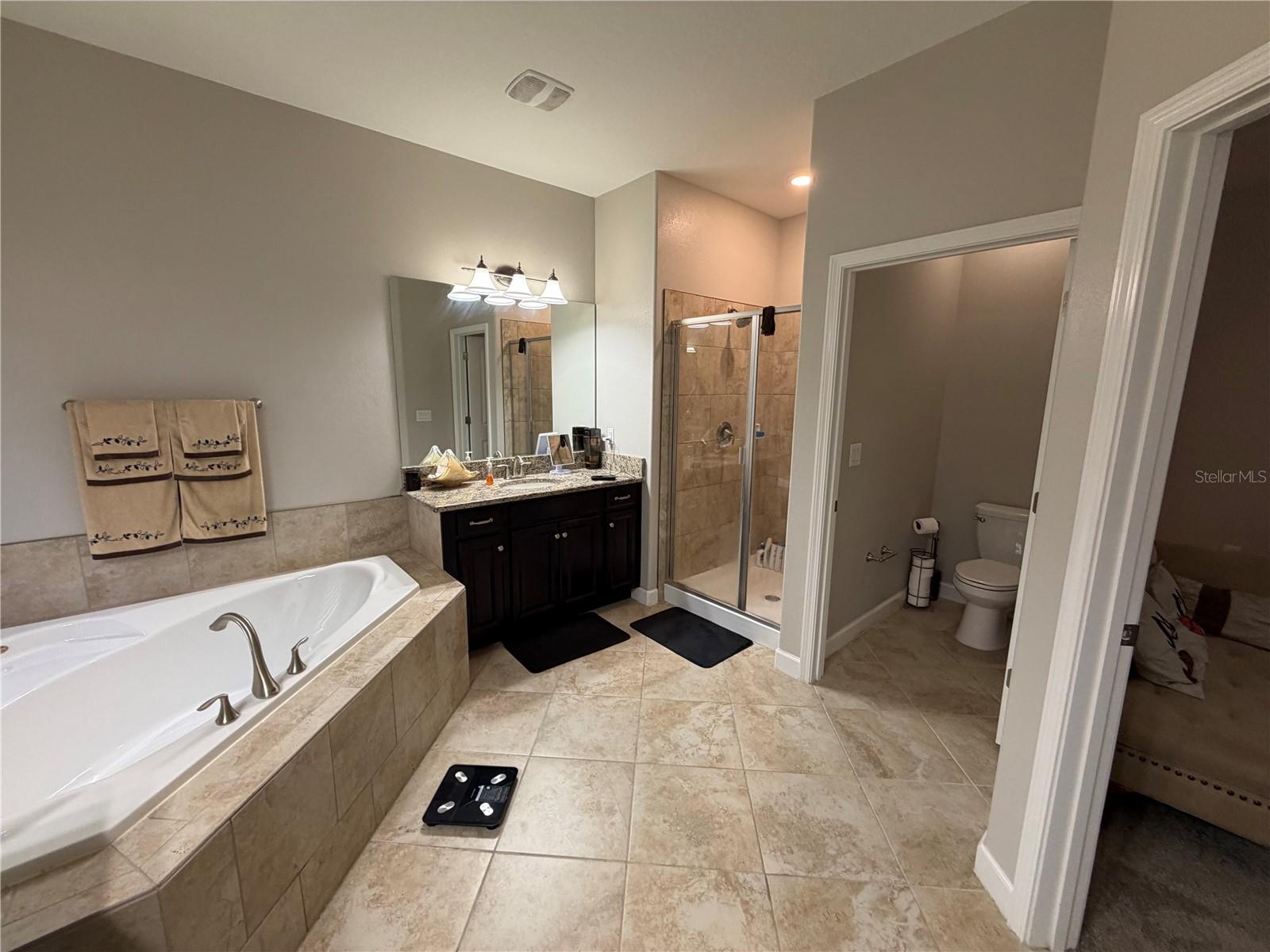 13905 ROSEATE TERN LN, RIVERVIEW, FL, 33579